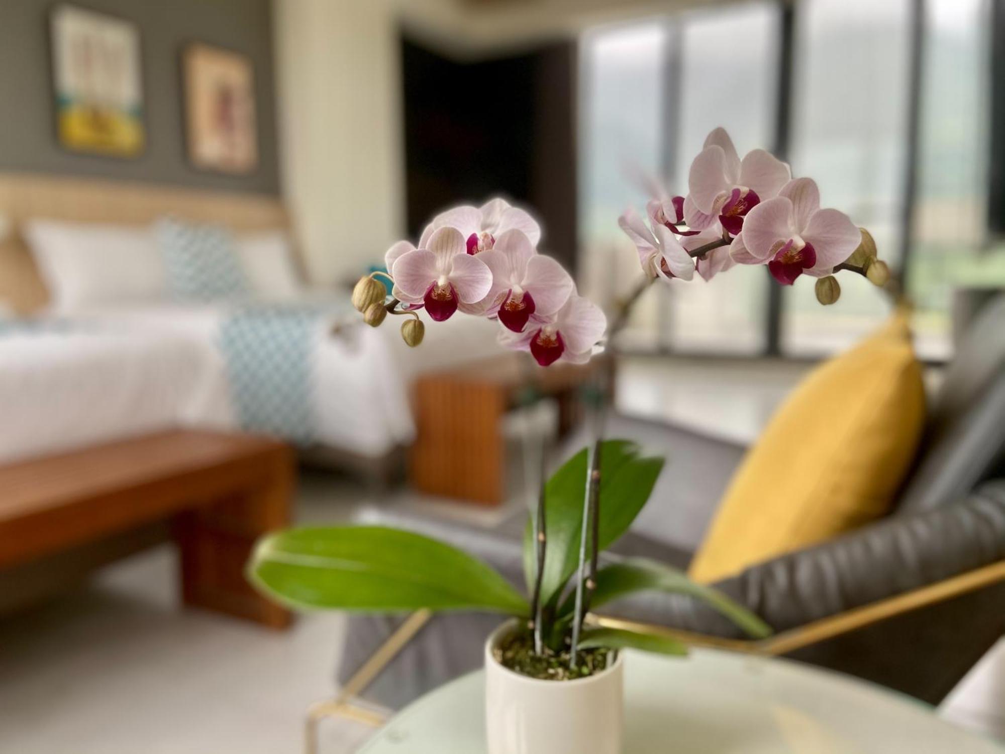 Follow The Cloud B&B Jialin Room photo